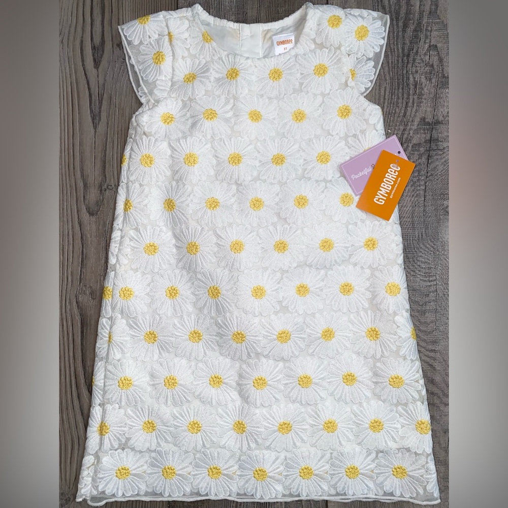 NWT Gymboree Pocketful of Posies Daisy White Lace Embroidered Floral Dress 3 3T